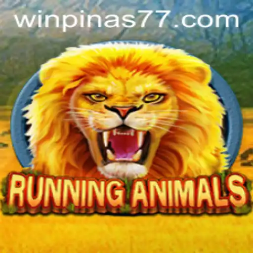 Experience the Thrill of RunningAnimals